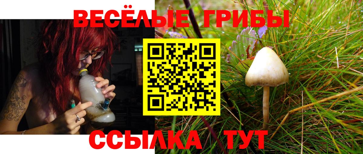 Псилоцибиновые грибы Magic Shrooms  Вход с VPN  Тобольск 