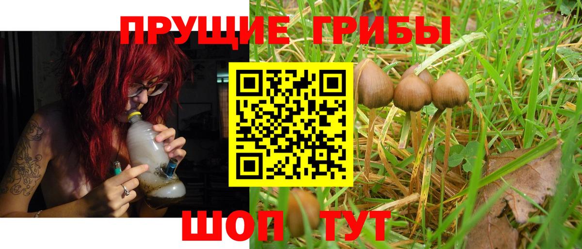 Псилоцибиновые грибы Magic Shrooms Тобольск